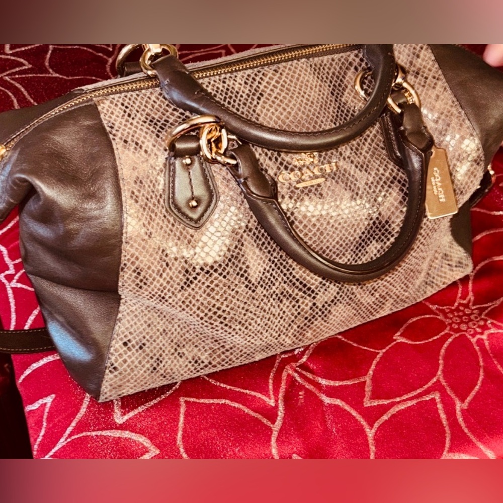 Coach Colette satchel in python-embossed leather graphite rare find 🕵️♀️ - Picture 11 of 14